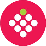 Boxberry